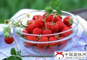 水果秘籍:草莓位居抗癌水果的榜首