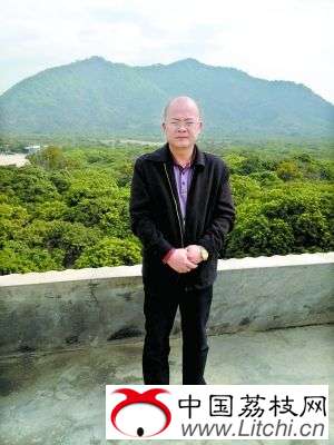 荔枝地成荒地