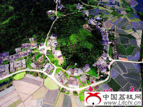     航拍马安岭村，满眼都是绿色。
