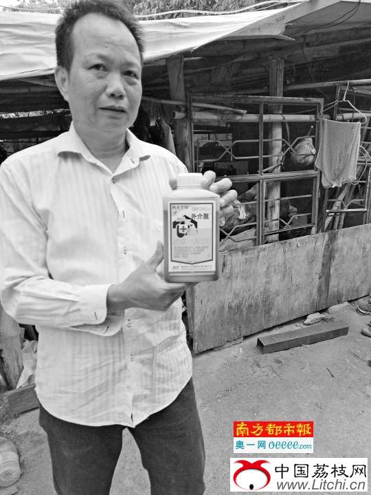 荔枝将上市 200亩“妃子笑”笑不出来