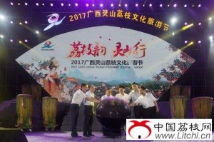 2017广西灵山荔枝文化旅游节举行